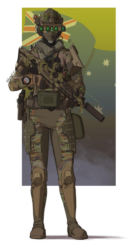 Example: $335 (rendered + firearms/military gear)